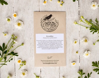 May include: A brown paper seed packet with a black and white illustration of a bird and the text "ravensong seeds & herbals". The packet is labeled "Feverfew (Tanacetum parthenium)" and includes information about the plant's growing conditions, medicinal uses, and care instructions.