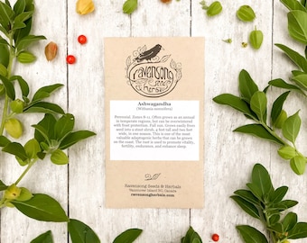 May include: A brown paper packet of Ashwagandha seeds from Ravensong Seeds & Herbals. The packet features a black crow illustration and the text "Ashwagandha (Withania somnifera)". The text describes the plant as a perennial that grows easily from seed and is a valuable adaptogenic herb.
