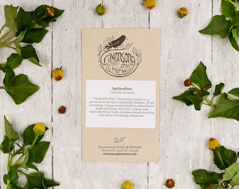 May include: A brown paper packet of Spilanthes (Toothache Plant) seeds from Ravensong Seeds & Herbals. The packet features a black raven illustration and the text "ravensong Herbals".