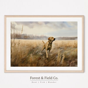 Golden Lab Art Print | Hunting Dog Portrait | Vintage Hunting Art | Bird Dog Gallery | Hunting Dog Picture | Labrador Art