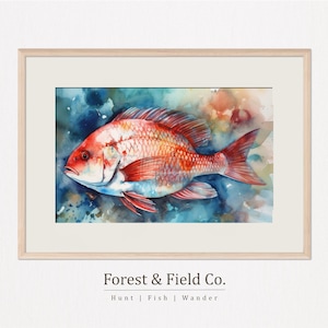 May include: Watercolor painting of a red snapper fish with orange and red hues, set against a backdrop of blue and teal watercolor washes. The artwork is framed in a light wood frame with a white mat. The text "FOREST & FIELD Co." is at the bottom.