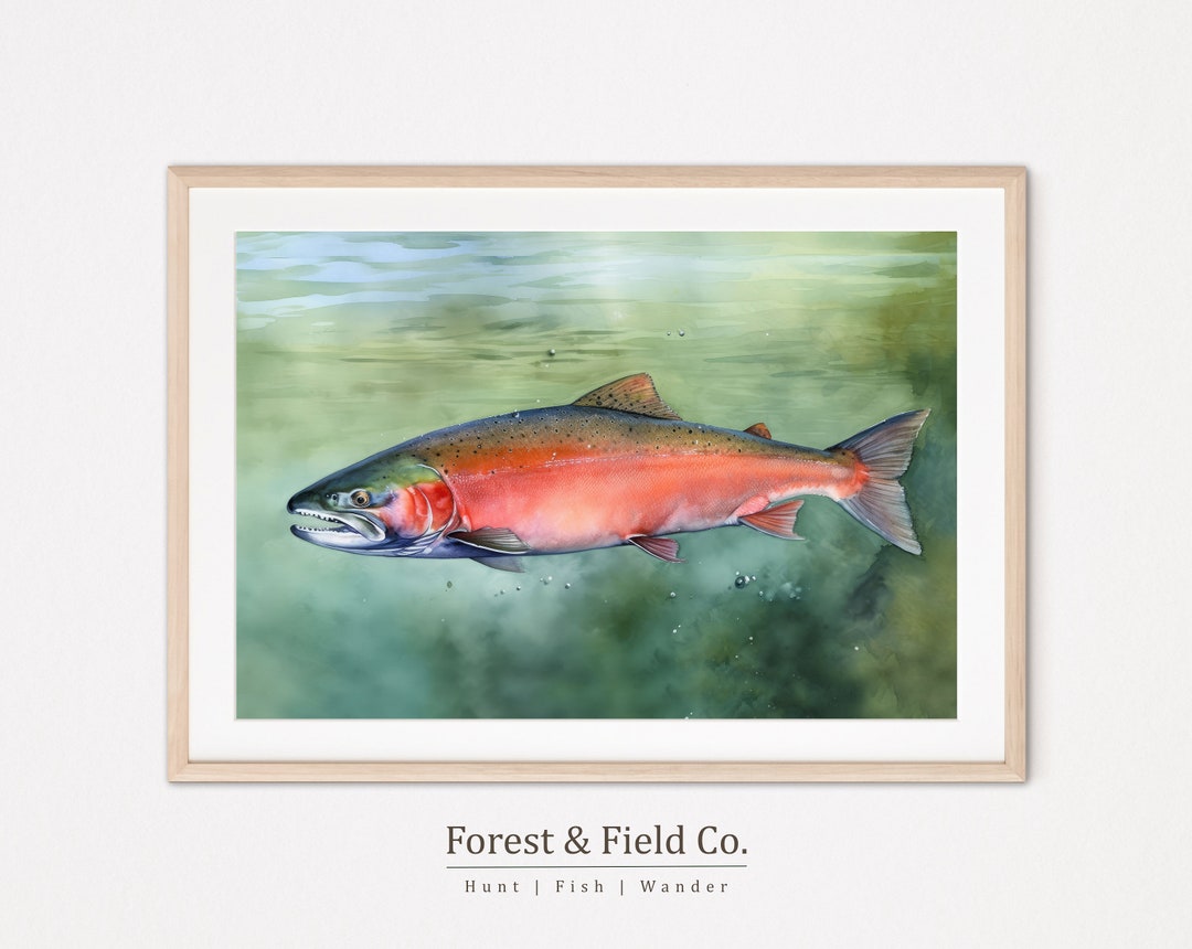 Wilderness Explorer King Salmon Wall Art Printable Etsy