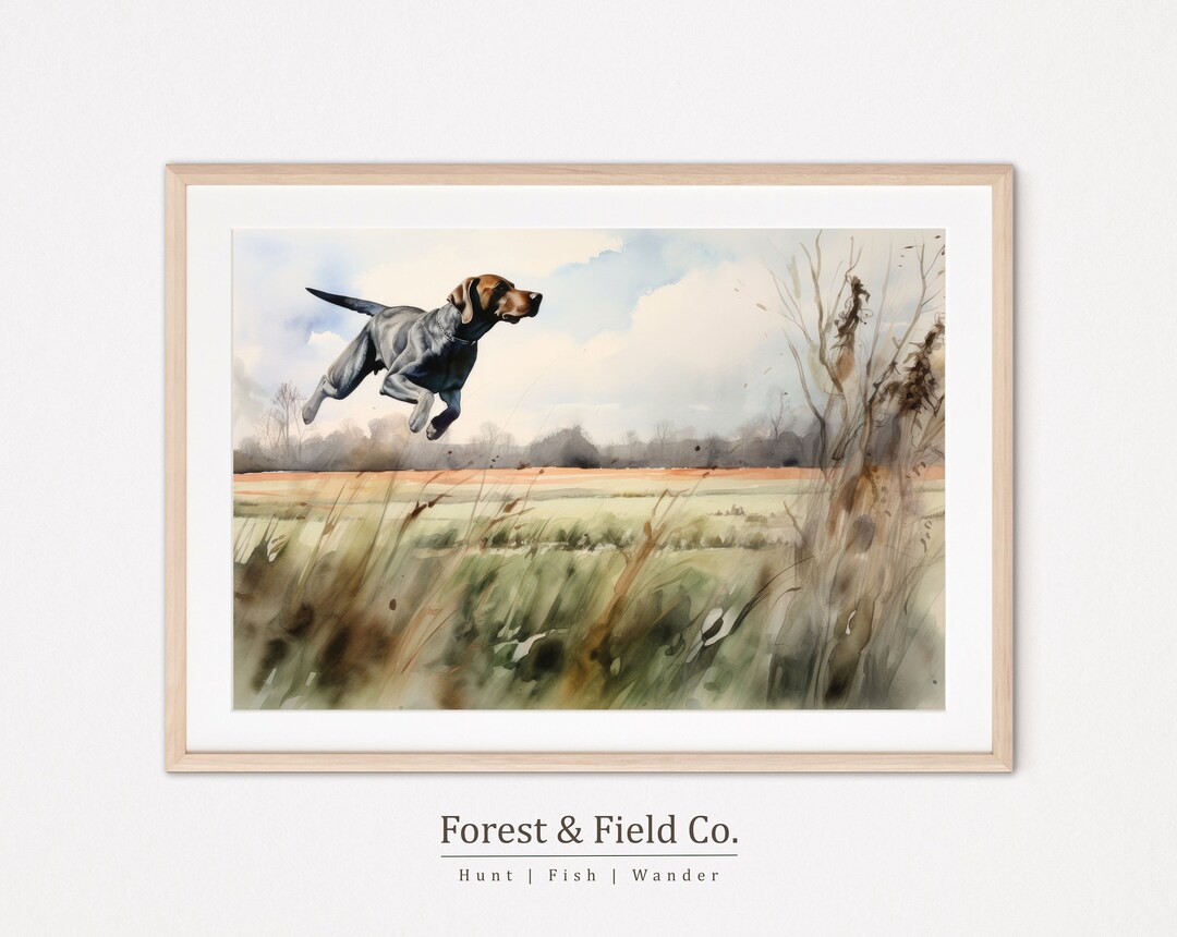 Capture the Joy and Energy of Hunting Dogs With Our Bird Dog Art Prints