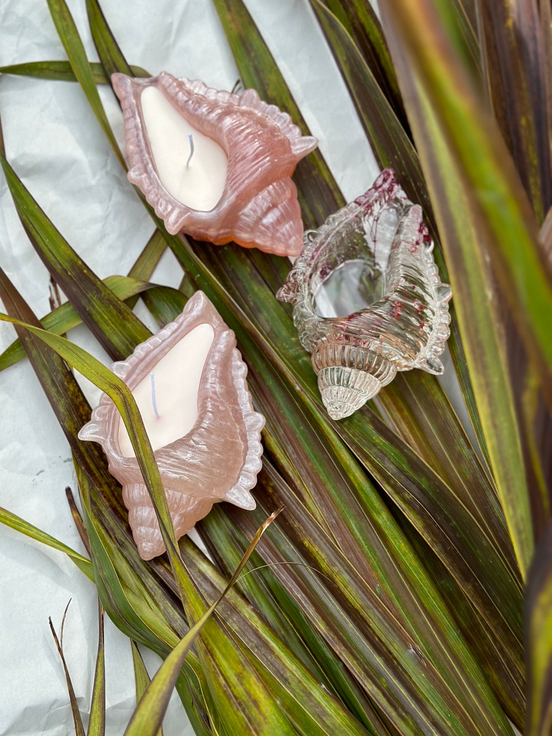 Shell Candle - Etsy