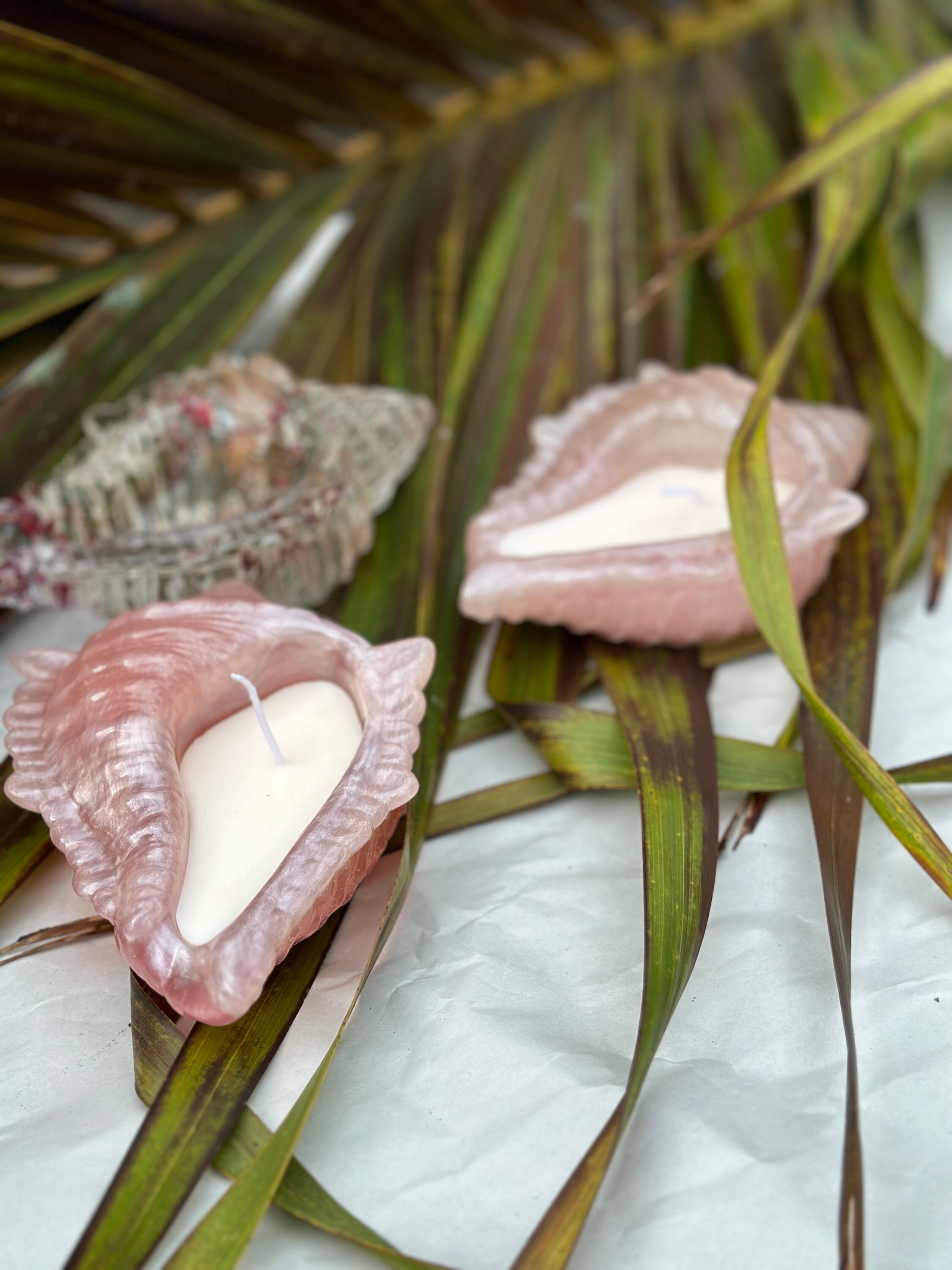 Elemental Shell Candle Shell Candle - Etsy
