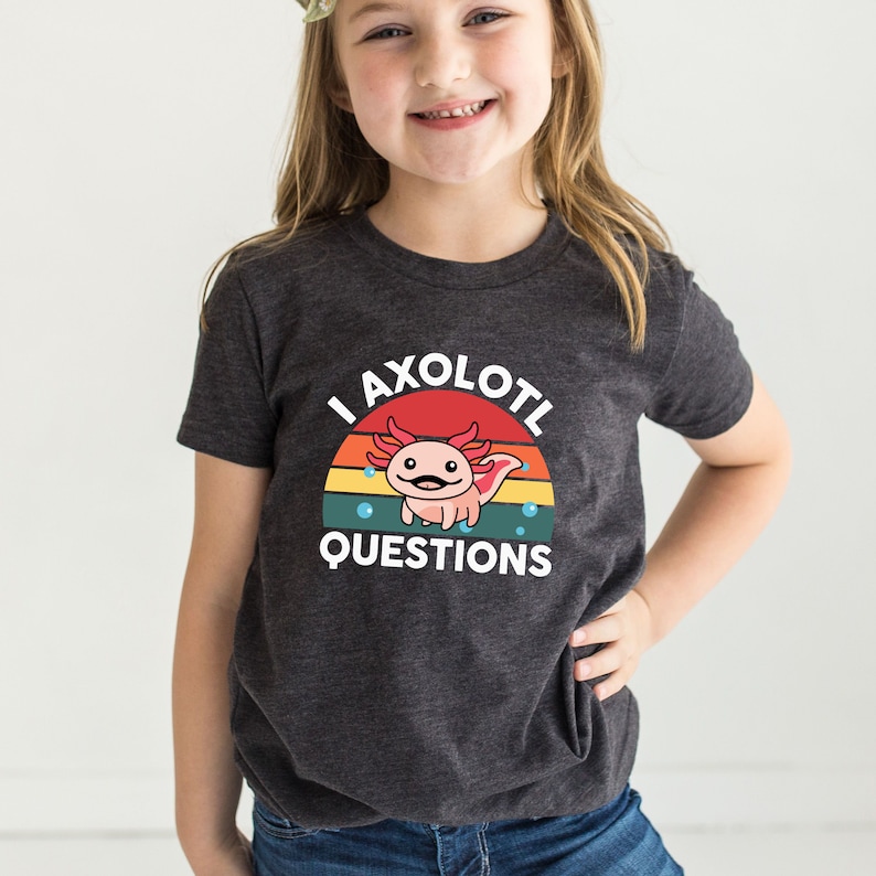 Pode incluir: Uma camiseta cinza escura com um gr&aacute;fico de p&ocirc;r do sol retr&ocirc; com um axolotl e o texto "I axolotl questions".
