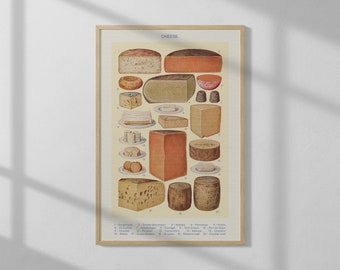 Cheeses Illustration (1923) | High Quality Print | Vintage Wall Art