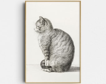 Cat Print: Sitting Cat - Vintage Wall Art (Giclée Print)