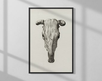 Skull of a Cow by Jean Bernard (1816) | High Quality Print | Vintage Wall Art