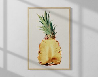 Pineapple Cut in Half Illustration | High Quality Print | Vintage Wall Art