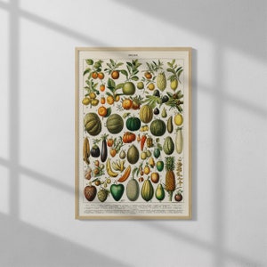 Fruits and Vegetables by Larousse, Pierre, Augé and Claude (1898) | Classical Art Print | Vintage Wall Art | Giclee Fine Art Decor