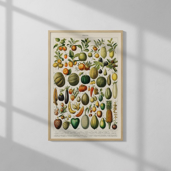 A Wide Variety of Fruits and Vegetables by Larousse, Pierre, Augé and Claude (1898) | High Quality Print | Vintage Wall Art