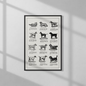 Dog Breeds by Thomas E. Hill (1915) | High Quality Print | Vintage Poster