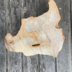 Rough slab of Honey Onyx