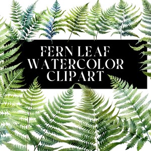 Lot de 26 cliparts aquarelle feuille de fougère pour un usage commercial - Téléchargement immédiat pour un usage professionnel - feuille de fougère/feuilles de fougère/Nature/Clipart