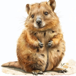 Aquarell Quokka Clipart Bundle, Australien Clipart, hochwertige Png-Dateien, 12er Set, kommerzielle Nutzung, Sofort-Download, hohe Auflösung
