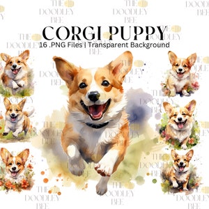 16 clipart corgi aquarelle, lot de corgi chiot mignon, animal de compagnie, clipart chien aquarelle, PNG imprimable, scrapbooking, fabrication de cartes png