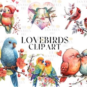 Aquarelle de tourtereaux PNG Bundle, créations numériques transparentes, clipart oiseau romantique, clipart inséparable, usage Commercial, créations en papier
