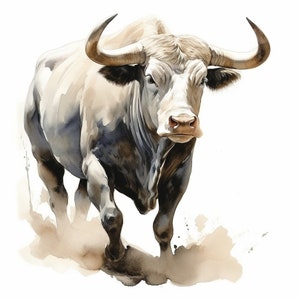 12 Bull Clipart, High Quality PNGs, Digital Download, Card Making, Animal Clipart, Digital Paper Craft, commercial use