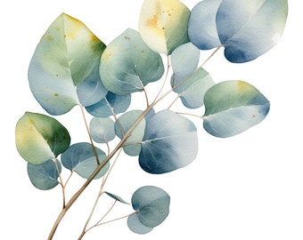23 Eucalyptus leaf watercolor clipart PNG bundle, commercial use, digital download, transparent, digital planner, Sublimation, Home décor