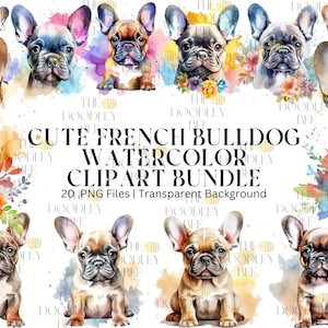 Download digital 20 clipart de buldogue francês em aquarela, arquivos JPEG e PNG de alta qualidade, clipart de retrato de cachorro, raça Frenchie, cachorrinho fofo