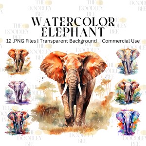 Acuarela Elefante Clipart 12 PNG de alta calidad, Reserva de chatarra de obras de arte coloridas, Uso comercial, Descarga instantánea, Tazas, Técnica mixta, Impresión