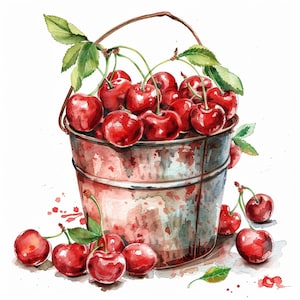 12 Kirsch-Png-Grafikpaket, Kirsch-Clipart, Obst-Png-Designs, Kirschblätter, Aquarell-Kirschblüte, Kirschblüten-Png-Clipart