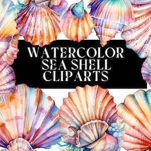 20 Watercolor sea shell clipart bundle for commercial use - Instant download - Clipart/sea/sea shells/commercial use/watercolors
