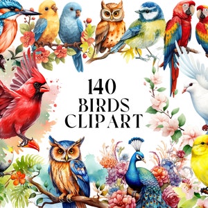 120 clip-arts aquarelle oiseau, utilisation commerciale, lot, floral, fond numérique transparent, nature, jardin, livre pour enfants PNG