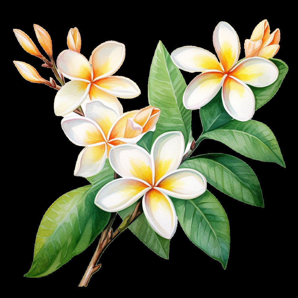 Plumeria paintings - Etsy 日本
