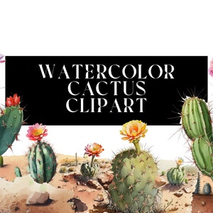 15 Watercolor cactus clipart bundle for commercial use - Instant Download - Transparent Download - Cactus/desert/cactus flowers/nature/