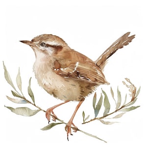 Clipart Wren, 12 wysokiej jakości PNG, Sztuka dla dzieci, Natychmiastowe pobieranie cyfrowe | Tworzenie kartek, Uroczy ptak Clipart, Cyfrowe rzemiosło papierowe, komercyjne