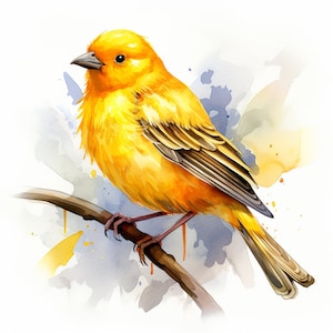 Canary Bird Clipart, 12 High Quality PNGs, Nursery Art, Instant Digital Download | Card Making, Bird Clipart, Digital Paper Craft commercial
