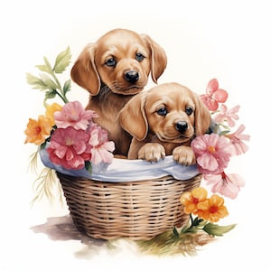 Puppies in Flower Basket Clipart, 12 High Quality PNG, Digital Download, Card Making, Animal Clipart, Digital Paper Craft, Commercial use