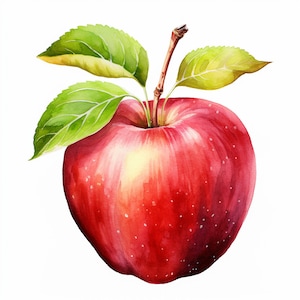 Clipart Apple, 16 PNG di alta qualità, Arte per l'asilo nido/Creazione di cartoline, ClipArt di frutta, Mestiere con la carta digitale, Pittura ad acquerello, uso commerciale