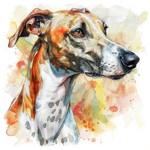 Clipart aquarelle lévrier, 12 PNG de haute qualité, art pour chambre d'enfant, téléchargement numérique | Fabrication de cartes, clipart chien mignon, création numérique en papier