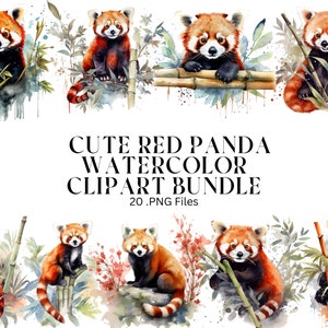 20 pacote PNG de clipart aquarela de panda vermelho fofo, uso comercial, download digital, transparente, planejador digital, sublimação, decoração de casa