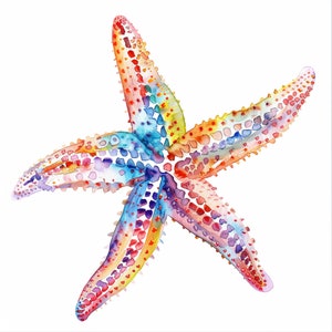 Starfish Clipart 12 High Quality PNGs Nursery Art Card Making Clip Art, Starfish Print, Digital Paper Craft, Watercolor Painting, commercial