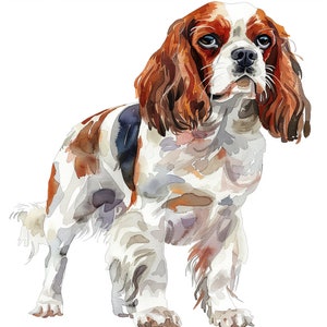 Cavalier King Charles Spaniel Clipart, 12 High Quality PNG, Nursery Art, Digital Download, Card Making, Cute Animal Clipart