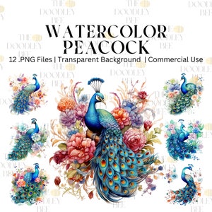 Watercolor Peacock Clipart 12 PNGs, Digital Download, Commercial Use, Card Making, Mixed Media, Digital Paper Craft, Watercolor Clipart