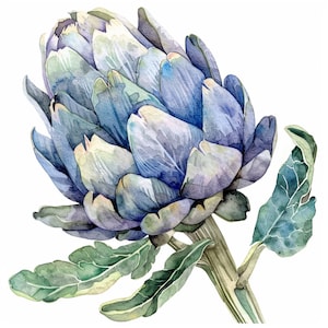 Watercolor Artichoke Clipart, 12 High Quality PNGs, Botanical Art, Digital Download, Card Making, Journaling Digital Paper Craft, Commercial
