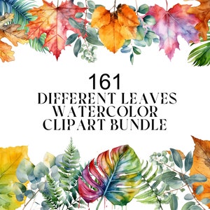 161 Greenery watercolor clipart - Green leaves clipart - Watercolor leaves - Airy foliage - Watercolor greenery frames wreaths - Digital PNG