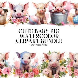 24 Baby Pig acuarela clipart PNG paquete, uso comercial, descarga digital, instantánea, planificador digital, sublimación, decoración del hogar, imprimible