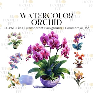 14 Watercolor Pink Orchid Clipart PNG, watercolor flower Orchid clip art, Spring floral clipart, Pink Orchid Clip art Commercial use