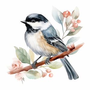 Clipart mésange, 12 fichiers JPG de haute qualité, art pour chambre d'enfant, téléchargement numérique | Fabrication de cartes, clipart oiseau mignon, création numérique en papier, usage commercial