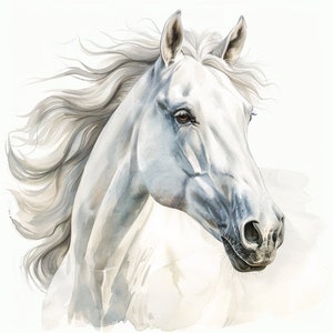 White Horse Clipart 12 PNG de alta calidad, arte infantil, descarga digital, fabricación de tarjetas, imágenes prediseñadas de caballo, artesanía de papel digital, uso comercial