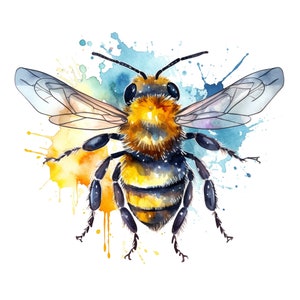 27 aquarel bijen thema's clipart bundel voor commercieel gebruik - instant download-afdrukbare-hoge resolutie-PNG-bijen-honingbijenkorven-