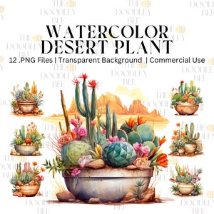 Aquarelle Cactus Clipart, 12 clipart cactus du désert, cactus du désert, clipart succulent, format PNG, téléchargement instantané, utilisation commerciale, imprimable