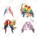 Watercolor Lovebirds PNG Bundle, Digital Crafts Designs Transparent, Romantic Bird Clipart ...