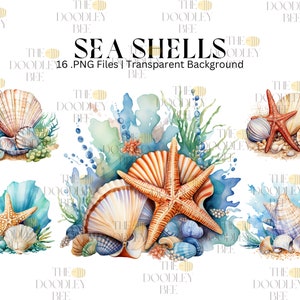 12 téléchargement numérique aquarelle coquillage clipart, clipart plage, lot de cliparts nautiques, océan, mer des cliparts, album, coquillage, cartes